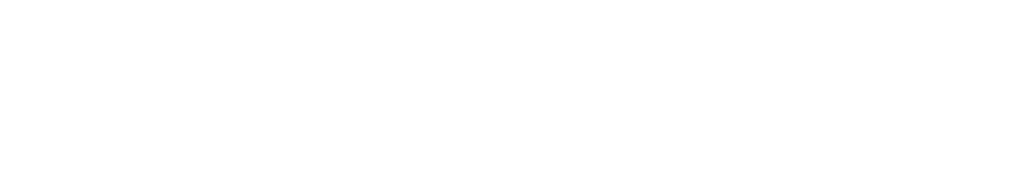 Nexbotix Logo White